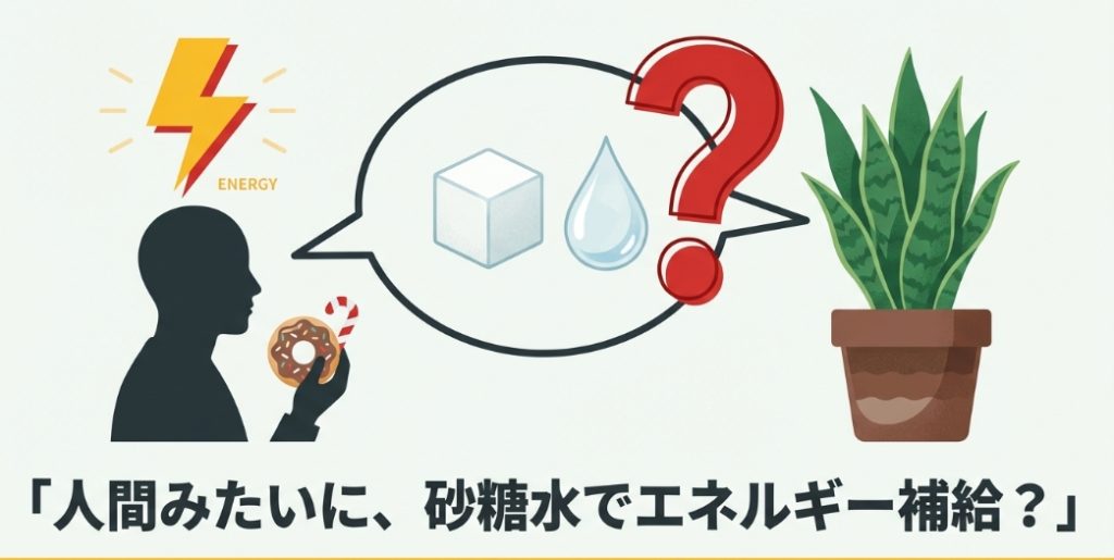 ドーナツを食べる人間と、砂糖水を与えようとして疑問を持つ様子を描いた比較イラスト